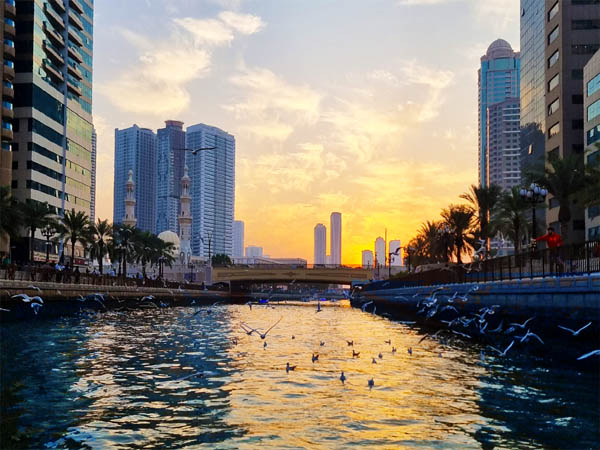 Read more about the article Climate Change-Words or Actions?